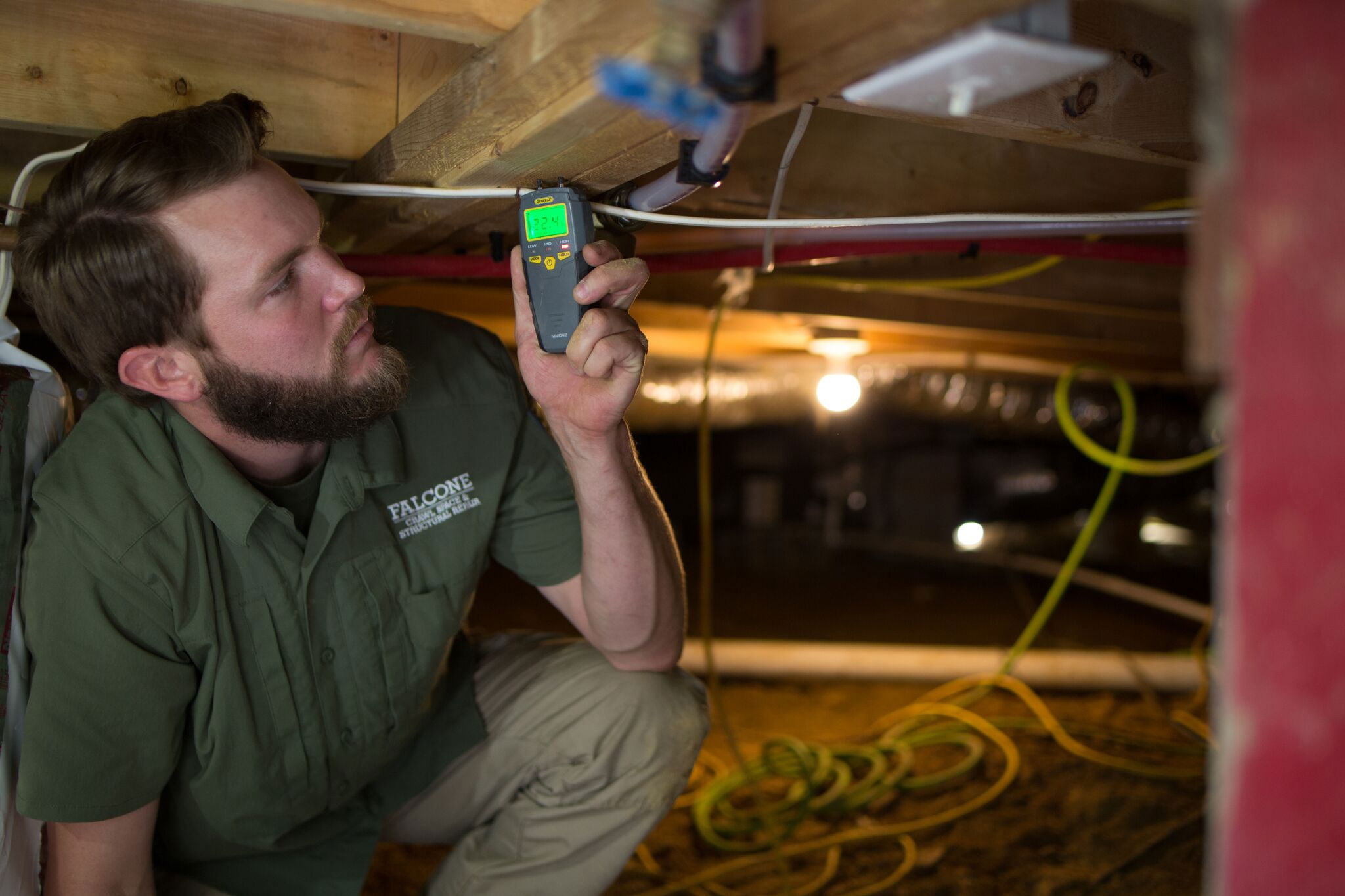 Attic Mold 101 - ATMOX